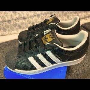 Superstar Reptile 🦎 J